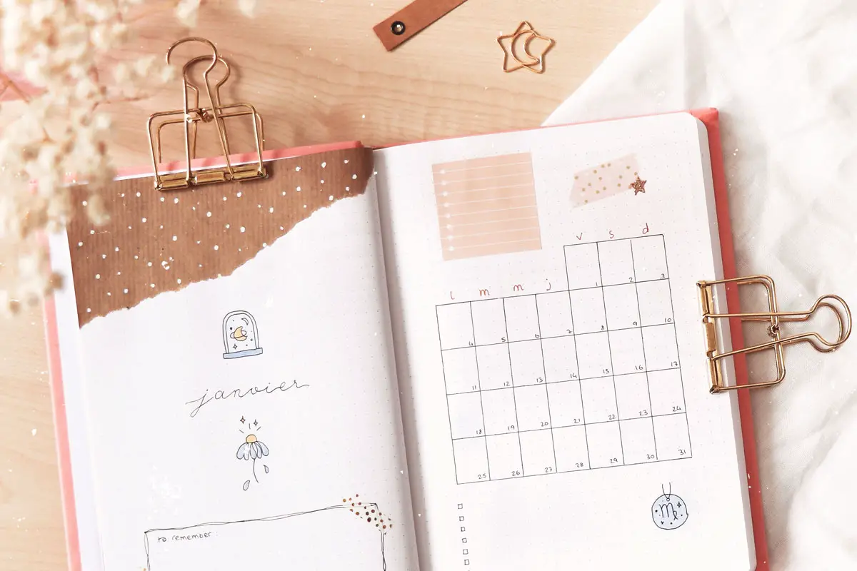 Bullet journal janvier : des mises en page cosmiques et fleuries - Manayin
